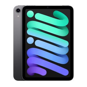 Apple iPad mini 6th Gen Wi-Fi 2021 tablet with a capacity of 256 GB